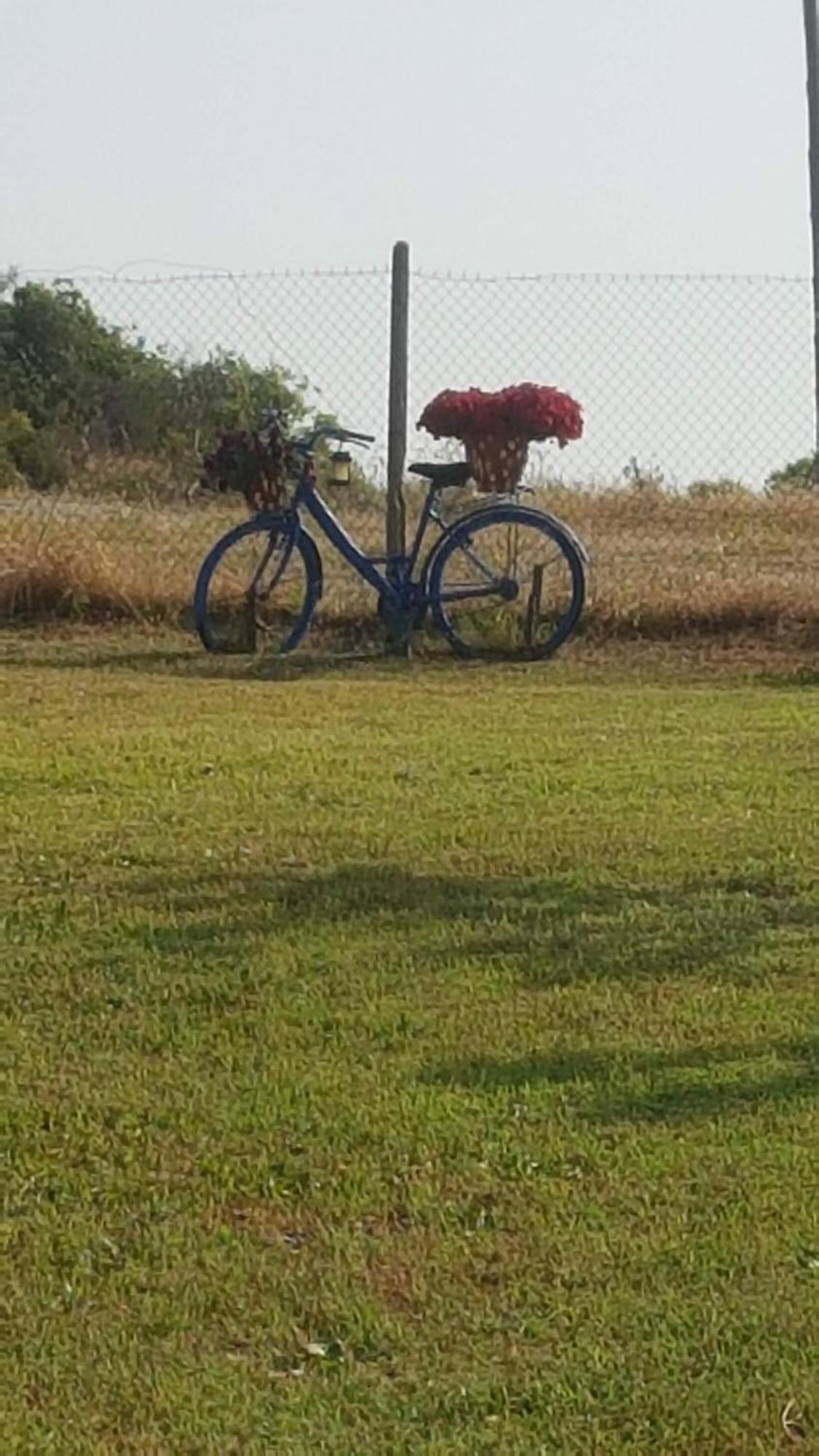 Kakudia בית נופש *